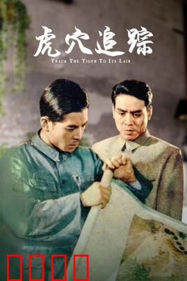 虎穴追踪：深入匪穴的智勇之战