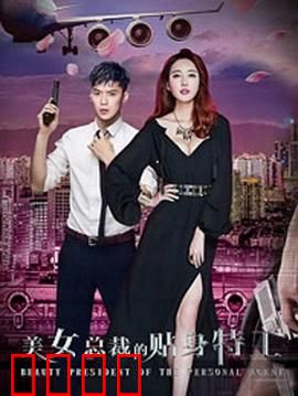 美女总裁的贴身特工：铁血柔情护总裁