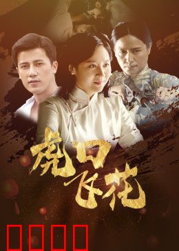 虎口飞花：暗战风云