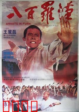 八百罗汉：少林武僧血战
