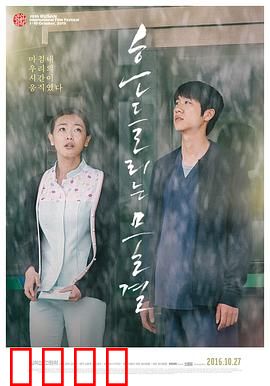 绽放2015：花季迷踪