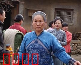 野茱萸：山野悲歌