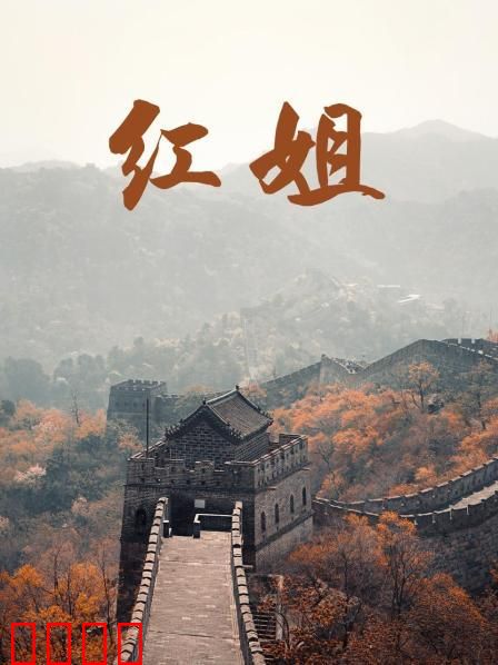 红姐2017：风尘救赎