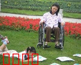 小小心愿：愿望成真之旅