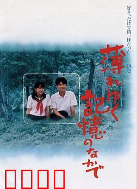 渐渐淡薄的记忆：遗忘中的爱