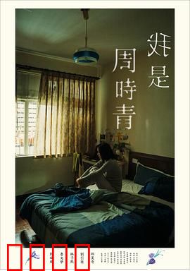 我是周时青：记忆拼图