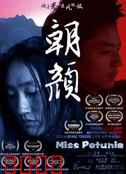 朝颜：爱如朝花夕拾