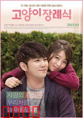 猫的葬礼：逝去的爱与猫