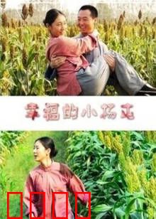 幸福的小杨屯：留守变形记