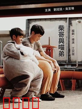 柴哥与喵弟：暖心同居记