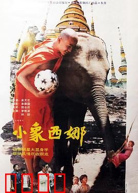 小象西娜：逆境成长