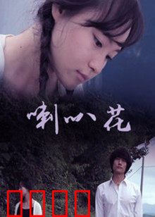 牵牛花：绽放的梦想