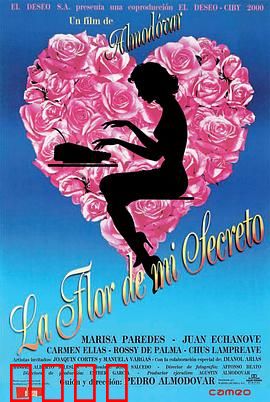 我的秘密之花：情感救赎