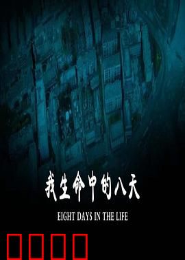 我生命中的八天：少年的奇幻旅程