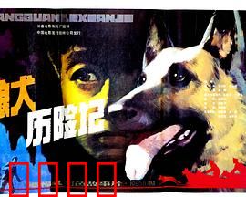 狼犬历险记：忠诚的生死之旅