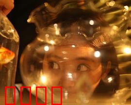 樓上樓下：邻里风云