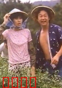 小美我爱你：笑中带泪的爱情