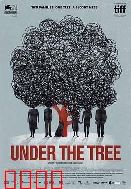 树下惊魂：夺命树根