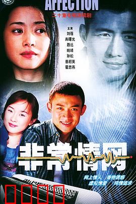 非常情网：虚拟爱恋