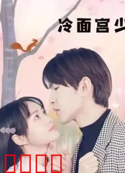 冷面宫少的小甜妻：霸总追妻记