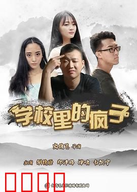 学校里的疯子第五季：神秘转学生