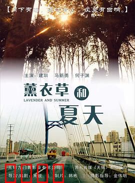 薰衣草和夏天：紫色梦境