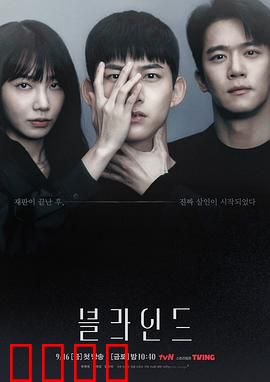 Blind：黑暗中的真相