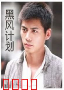 不良英雄：叛逆者的救赎