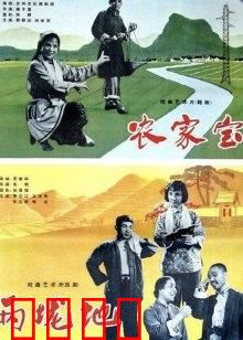 农家宝：乡村宝藏
