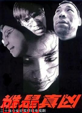 谁是真凶：迷雾下的真相