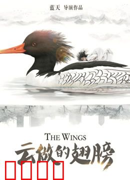 云做的翅膀：逐梦蓝天