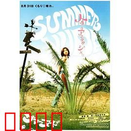 夏天的小岛：夏日奇缘