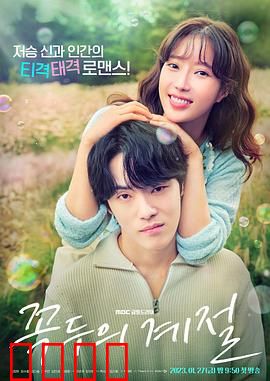 顶斗的季节：四季轮回之恋