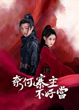 奈何寨主不好当：爆笑穿越