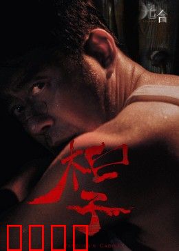 光合计划：绿植革命