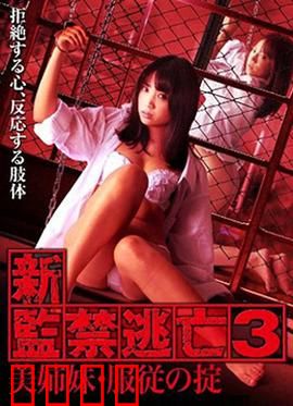 新监禁逃亡3：终极逃脱