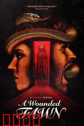 受伤的小鹿：森林中的秘密