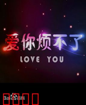 爱你烦不了：同居冤家终成眷属