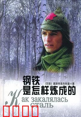 钢铁是怎样炼成的：意志的淬炼