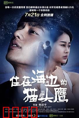 住在海边的猫头鹰：孤独守护者