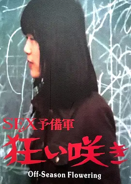 淡季花开：逆境绽放