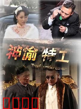 神偷特工：终极盗术