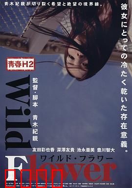 青春H2之狂野之花：花海里的秘密