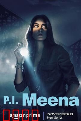 侦探米娜：破碎的回忆