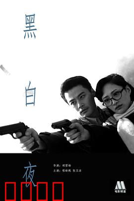 黑白夜：暗夜追凶