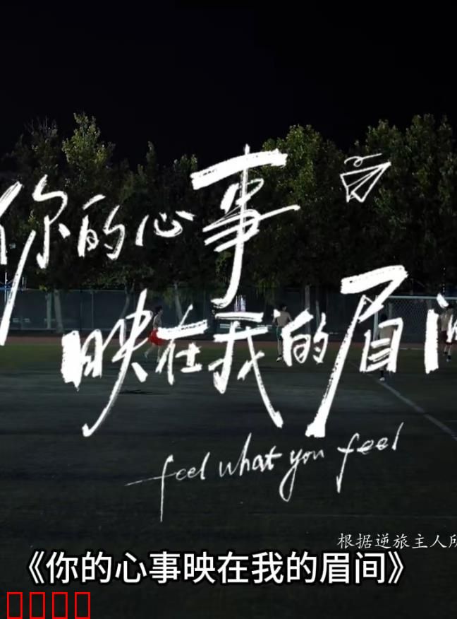 你的心事映在我的眉间：错爱半生