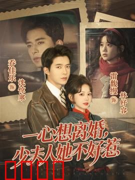 一心想离婚，少夫人她不好惹：追妻火葬场