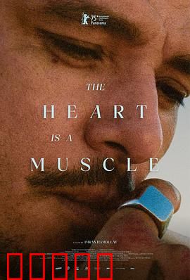 心如肌理：爱与痛的交织