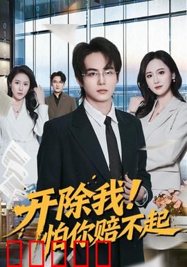 开除我！怕你赔不起：逆袭人生