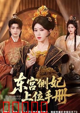 东宫侧妃上位手册：步步为营逆袭路
